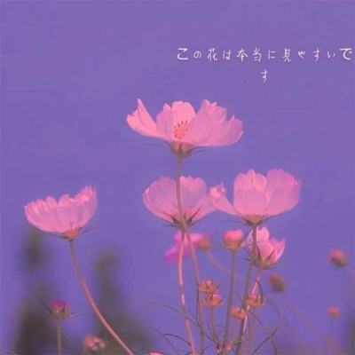 暗夜格斗百度版下载